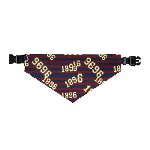 SC State 1896 Garnet & Blue Pet Bandana Collar — other view