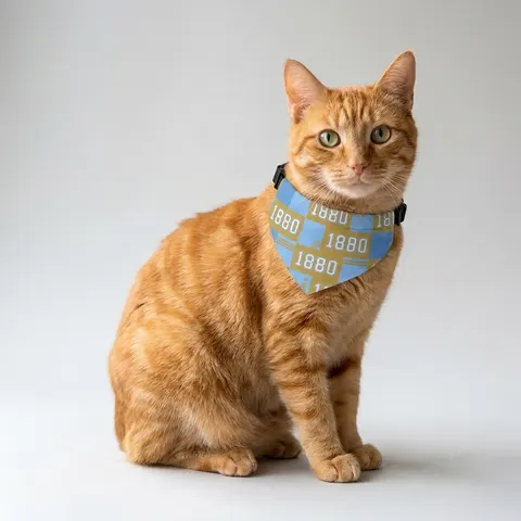 Southern 1880 Blue & Gold Block Pet Bandana Collar