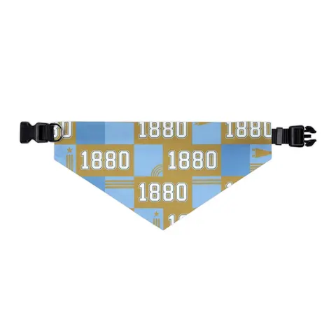 Southern 1880 Blue & Gold Block Pet Bandana Collar — other view