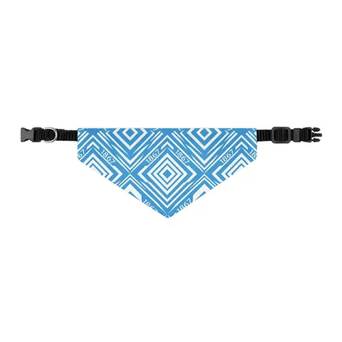 Saint Augustine's 1867 Blue & White Pet Bandana Collar — other view
