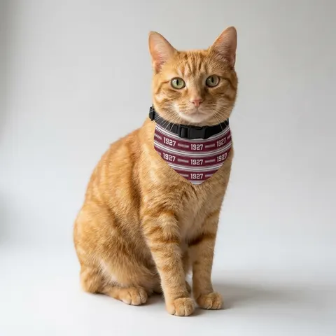 Texas Southern 1927 Maroon & Grey Pet Bandana Collar