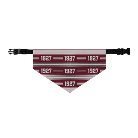 Texas Southern 1927 Maroon & Grey Pet Bandana Collar — other view