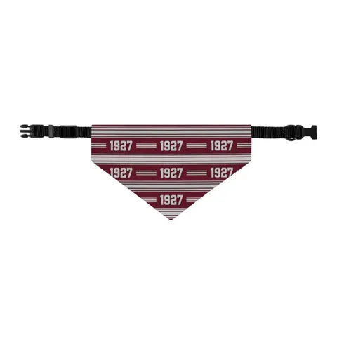 Texas Southern 1927 Maroon & Grey Pet Bandana Collar — other view
