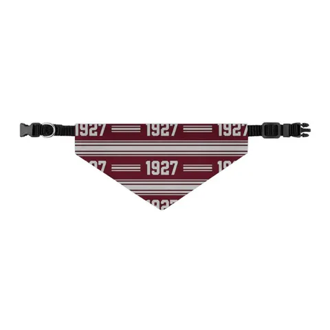 Texas Southern 1927 Maroon & Grey Pet Bandana Collar — other view