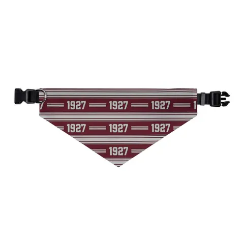 Texas Southern 1927 Maroon & Grey Pet Bandana Collar — other view