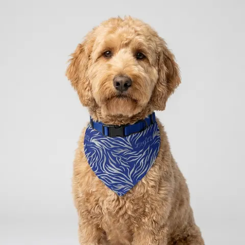 Tennessee State 1912 Royal Pattern Pet Bandana Collar
