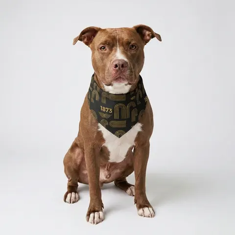 Pet Bandana Collar
