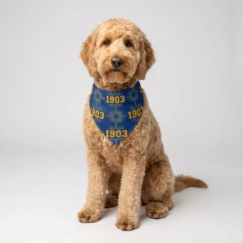 Albany State 1903 Blue & Gold Sunburst Pet Bandana