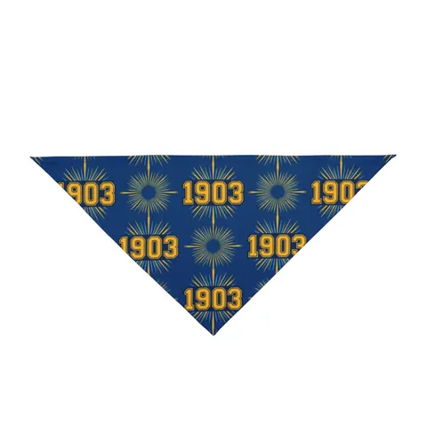 Albany State 1903 Blue & Gold Sunburst Pet Bandana — front view