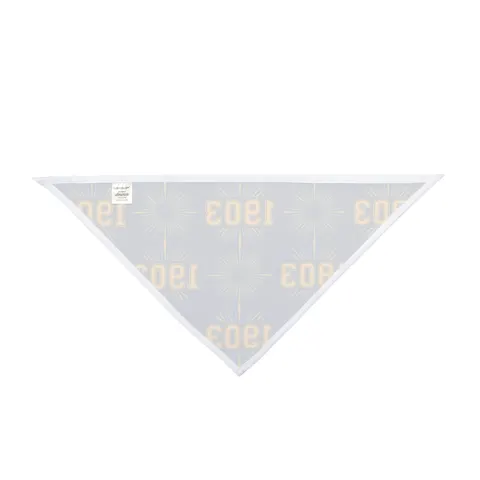 Albany State 1903 Blue & Gold Sunburst Pet Bandana — other view