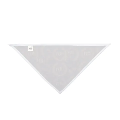 Alcorn 1871 Purple & Gold Academic Pet Bandana — other view