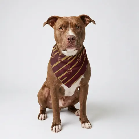 Bethune-Cookman 1904 Maroon & Gold Pet Bandana