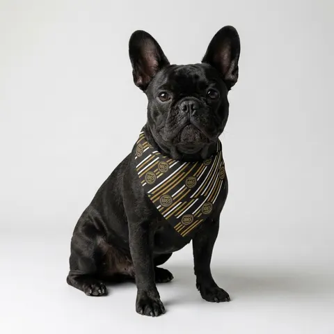 Bowie State 1865 Black & Gold Panel Pet Bandana
