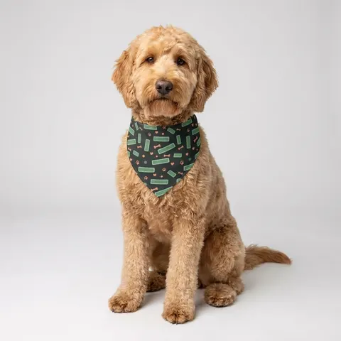 Atlanta Peachtree Signs Pet Bandana