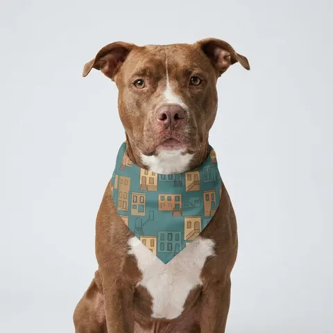 Baltimore Rowhouse Stoops Pet Bandana