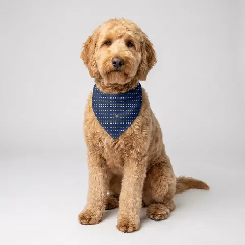 Inglewood Runway Lights Pet Bandana