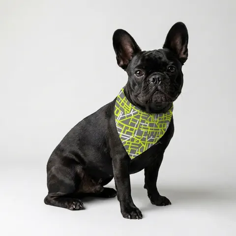 Queens South Jamaica Grid Pet Bandana