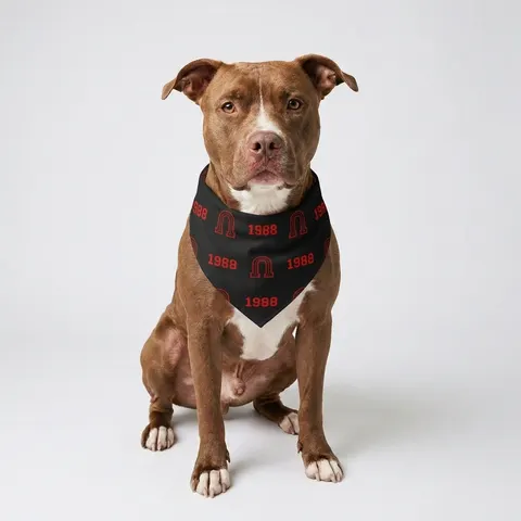 Clark Atlanta 1988 Black & Red Arch Pet Bandana
