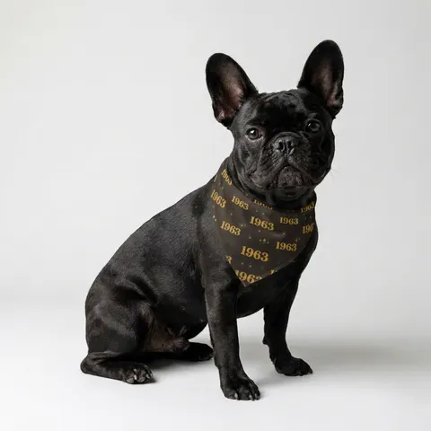 Iota 1963 Charcoal Brown & Gilded Gold Pet Bandana — lifestyle view