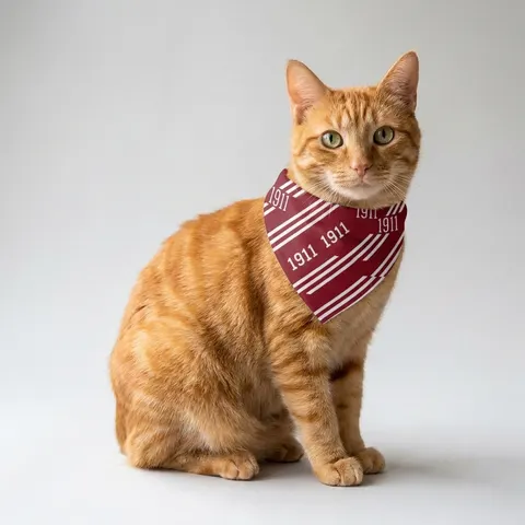 Kappa 1911 Cane Lines Pet Bandana