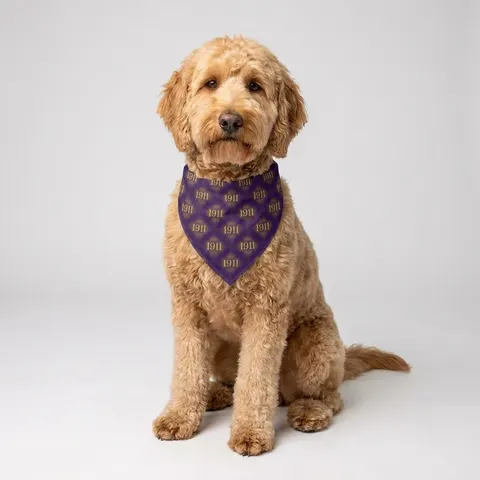 Omega 1911 Purple & Gold Glow Pet Bandana — lifestyle view