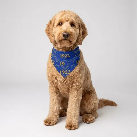 SGRho 1922 Royal Blue & Gold Pet Bandana