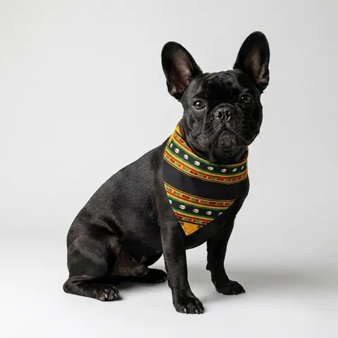 Faith Flag Afro-Spiritual Cowrie & Kente Pet Bandana