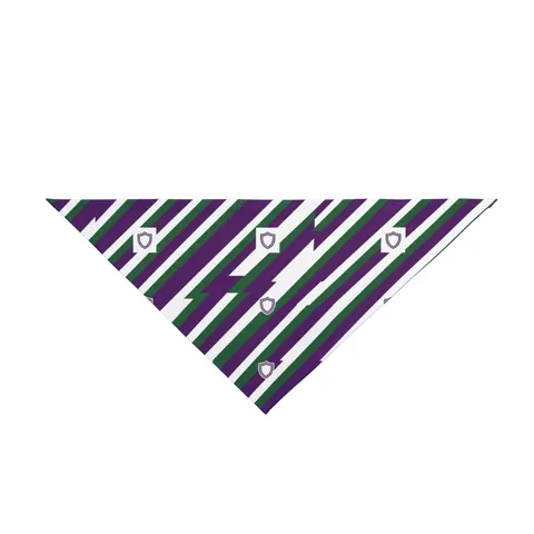 Faith Flag AME-Inspired Purple & Green Pet Bandana — front view