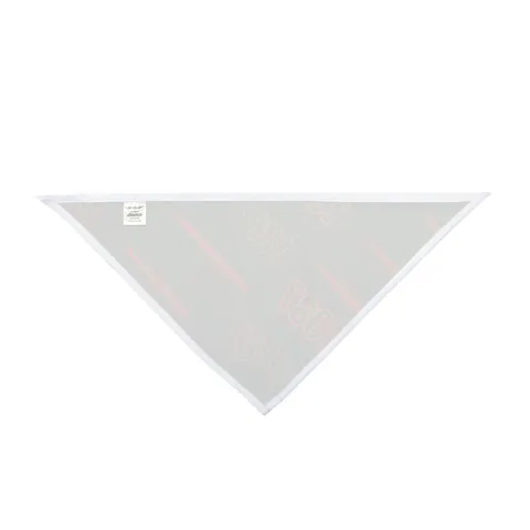 FAMU 1887 Orange & Green Energy Pet Bandana — other view