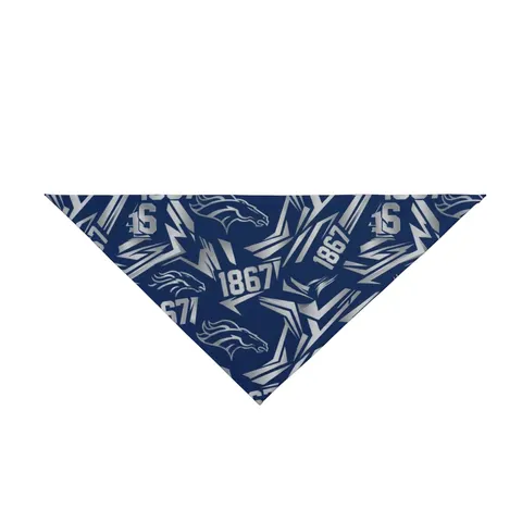 Fayetteville State 1867 Blue & Silver Pet Bandana — front view