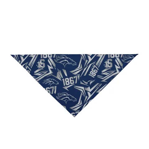 Fayetteville State 1867 Blue & Silver Pet Bandana — front view