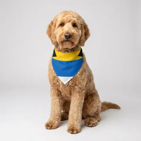 Antigua & Barbuda Rising Sun Pet Bandana
