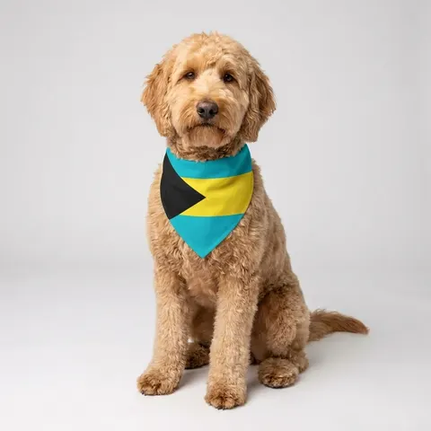 Bahamas Aqua Triangle Pet Bandana