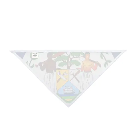 Belize Blue Red Emblem Pet Bandana — other view