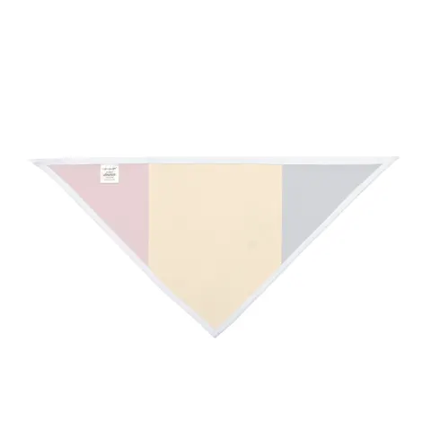 Chad Blue Yellow Red Pet Bandana — other view