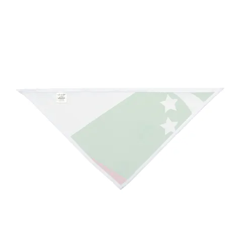 Comoros Green Triangle & Stripes Pet Bandana — other view