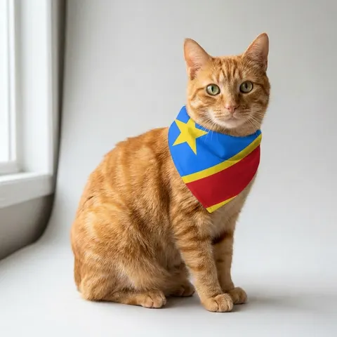 DR Congo Sky Blue & Red Diagonal Pet Bandana