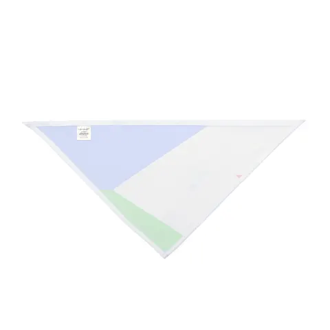 Djibouti Blue Green Triangle Pet Bandana — other view
