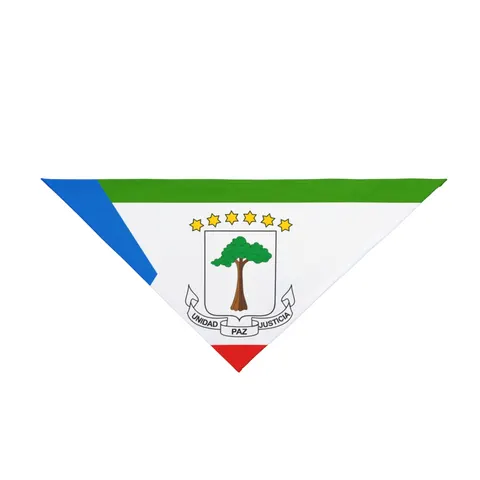 Equatorial Guinea Tricolor & Triangle Pet Bandana — front view