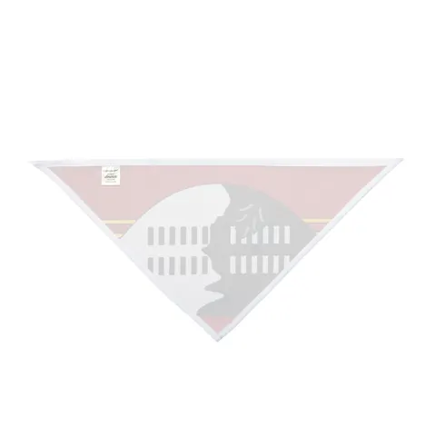 Eswatini Blue Red Yellow Shield Pet Bandana — other view