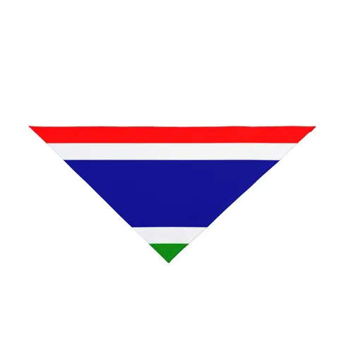 Gambia Red Blue Green Pet Bandana — front view