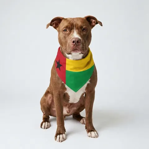 Guinea-Bissau Red Yellow Green Star