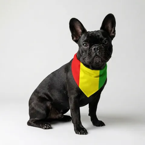 Guinea Red Yellow Green