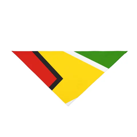 Guyana Arrowhead Design Pet Bandana — front view