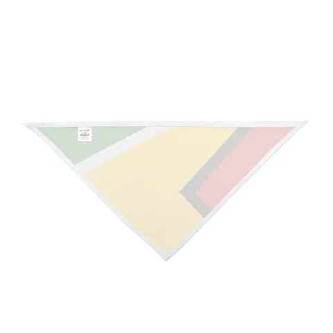 Guyana Arrowhead Design Pet Bandana — other view