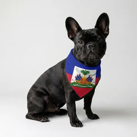 Haiti Blue Red Banner Pet Bandana