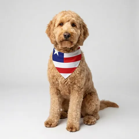 Liberia Stripes & Single Star Pet Bandana