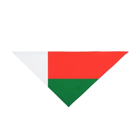 Madagascar White Red Green Pet Bandana — front view