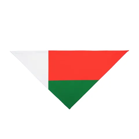 Madagascar White Red Green Pet Bandana — front view