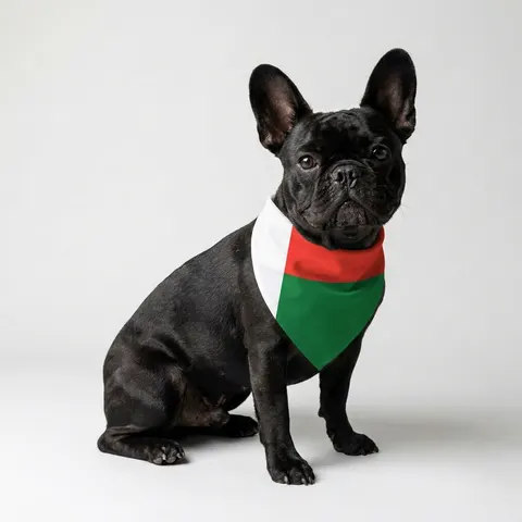 Madagascar White Red Green